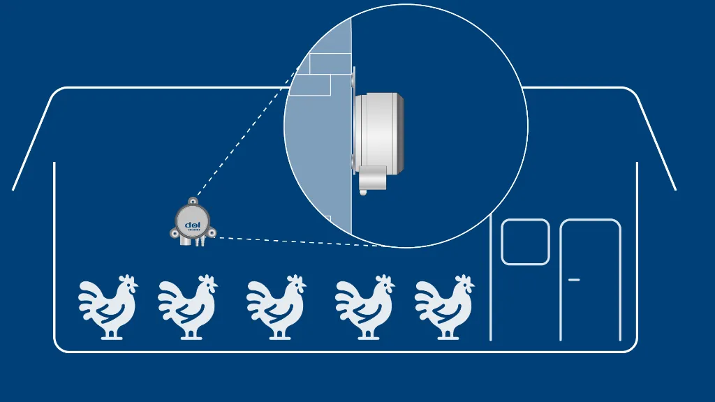 DOL_18_mounted_poultry_blue