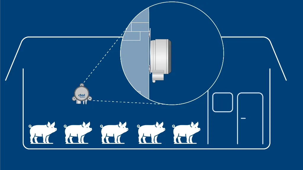 DOL_18_mounted_pig_blue